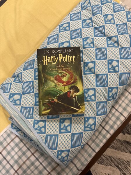 Harry Potter and the Chamber of Secrets